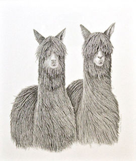 Alpaca Art