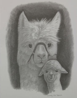 Greetings Card (Blank) - Dam and Cria
